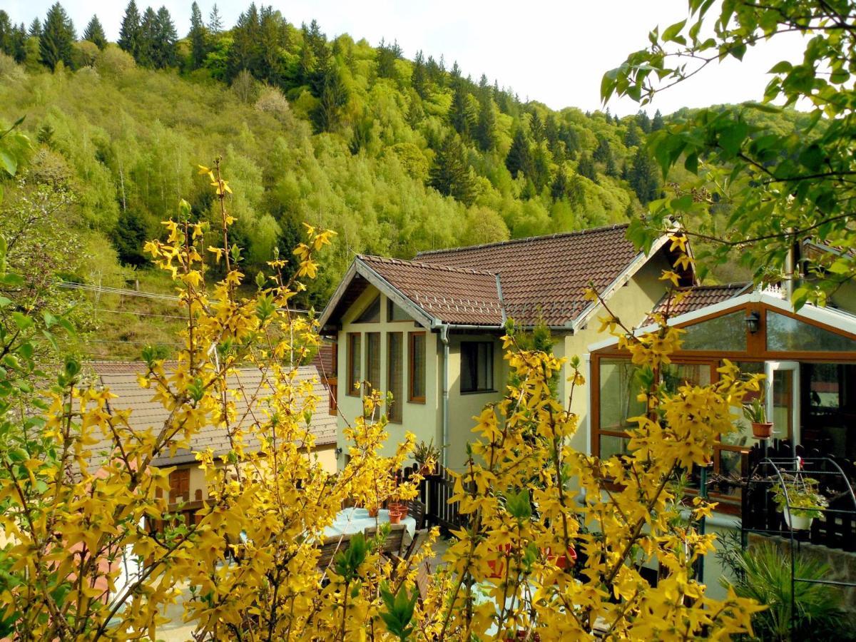 Pension Gentiana Sibiel Exterior foto